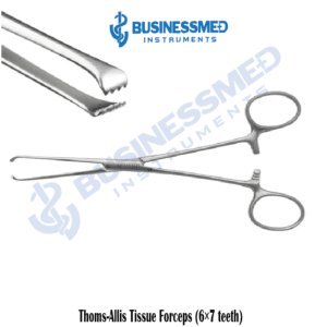 Thoms Allis Tissue Forceps (6×7 teeth)