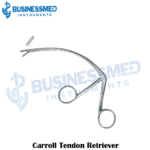 Carroll Tendon Retriever
